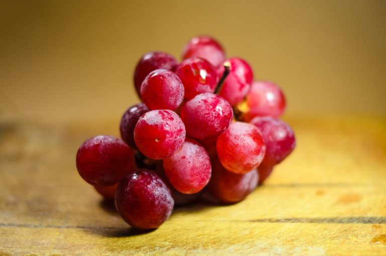 ¿Las cobayas pueden comer uvas?