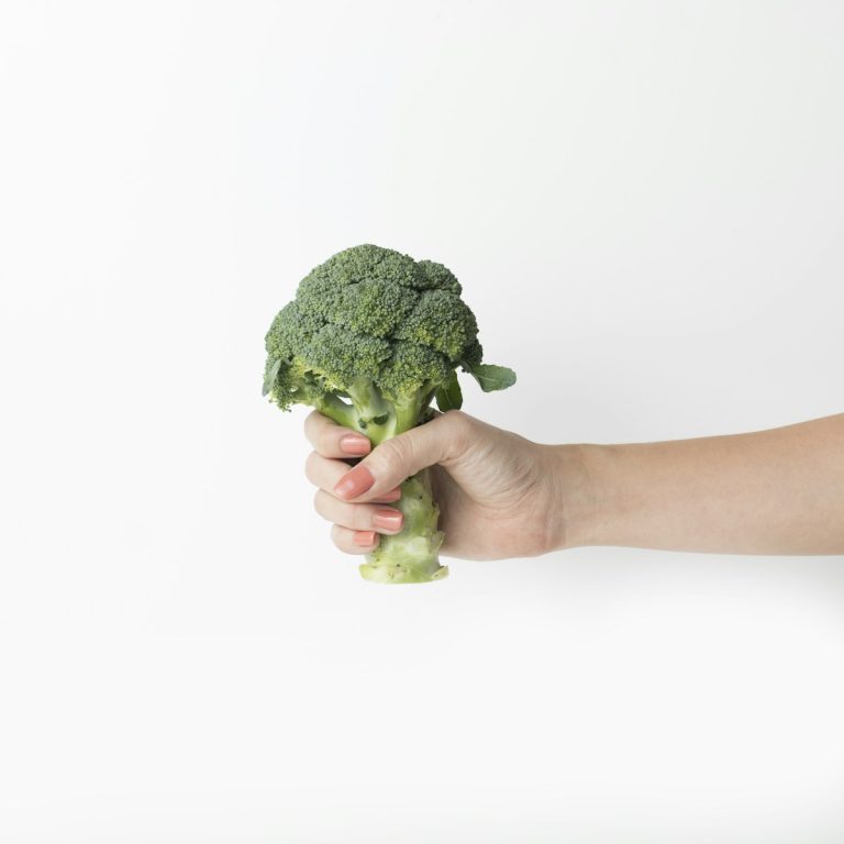 ¿Los loros pueden comer brócoli?